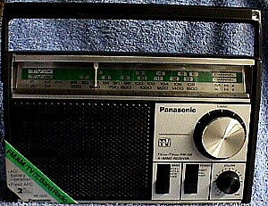 Panasonioc RF 1070 1.JPG (39717 bytes)