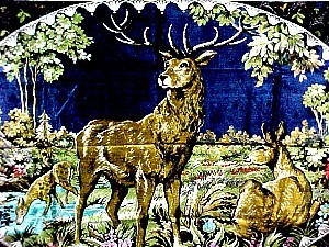 Tap. 49 5 Point Stag 70 X 47 2 a.JPG (55579 bytes)